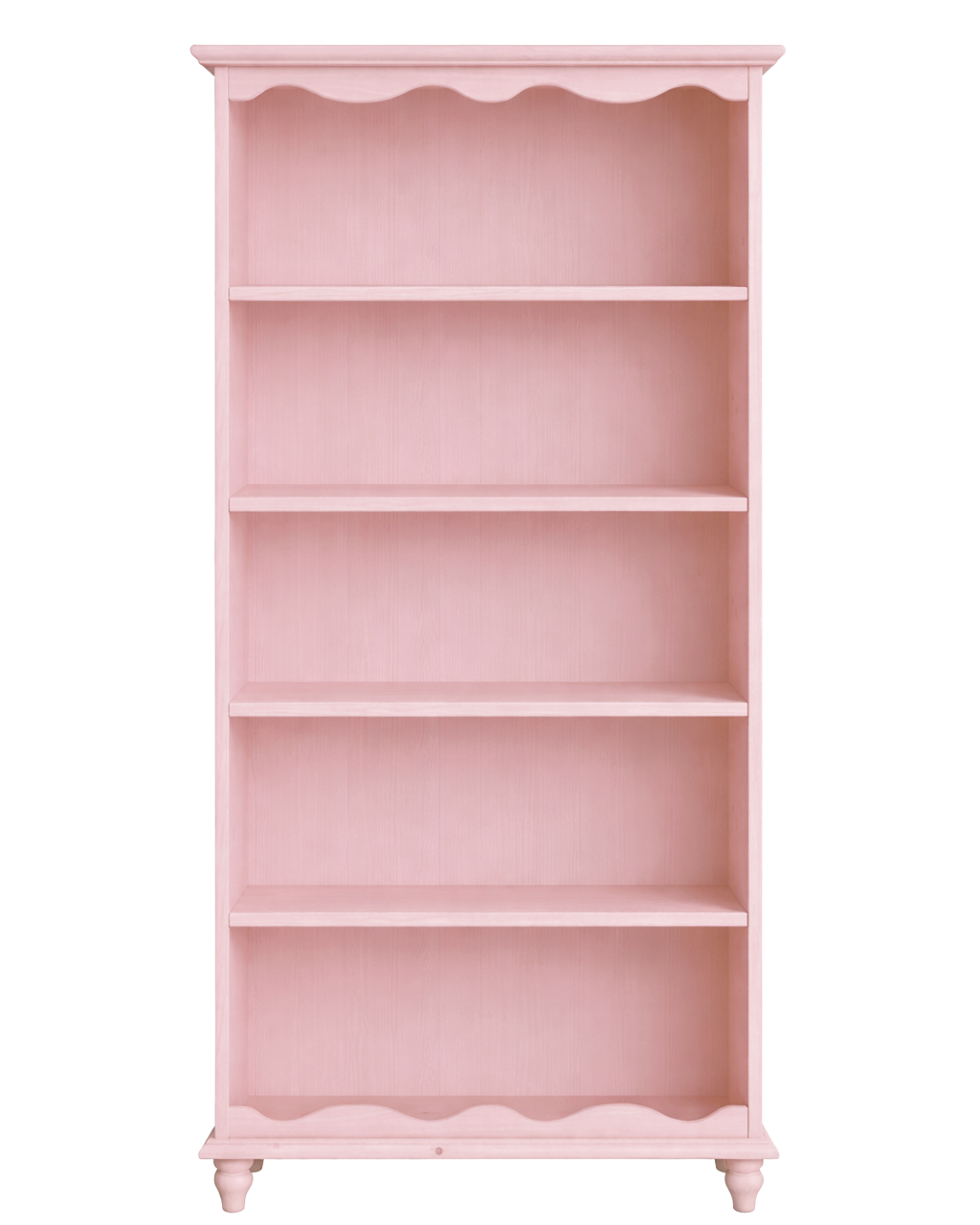 Painted Big Bookshelf