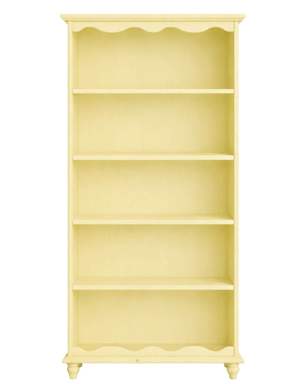 Painted Big Bookshelf