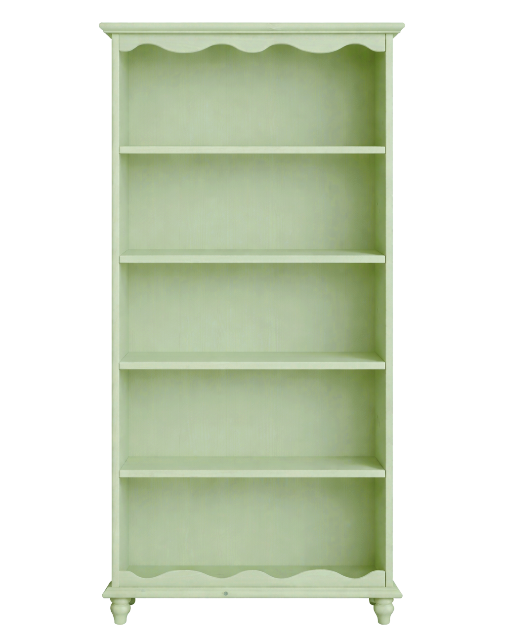 Painted Big Bookshelf